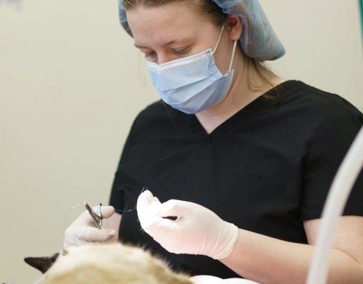 Kelsey Dental 2